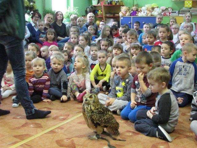 Grupa Żabki poznaje ptaki - z wizytą w przedszkolu
